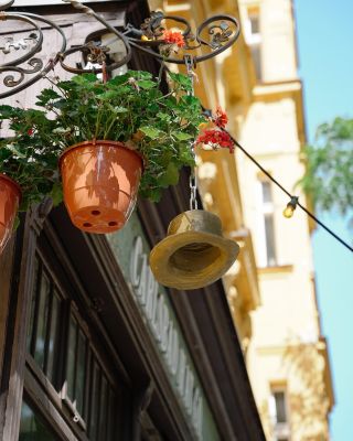 Detaily kloboučnictví na Korunní 37 ❤️ #carlsbadhat #klobouky